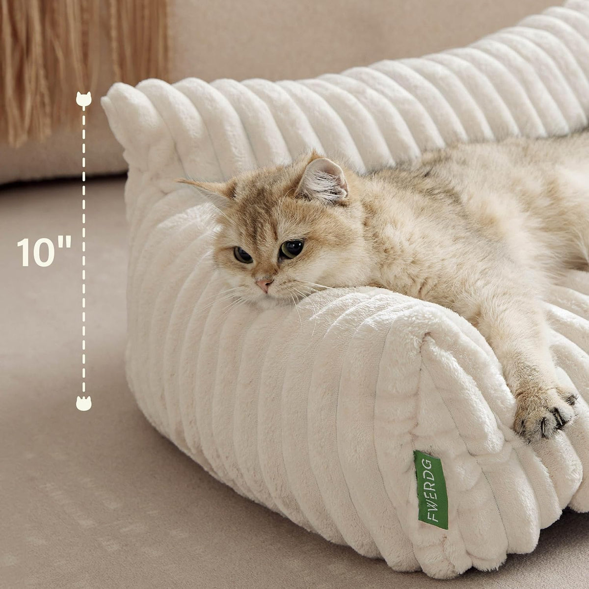 Cute Couch Bed for Pets. Chosen for real quality, not just packaging.