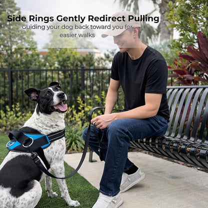ShawnCo Essential Dog Harness, No-Pull Pet Vest (Dark Camo,S) | 3 Leash Clips, Easy On, No-Choke, Reflective, Adjustable Fit, Padded Comfort, Control Handle, For Small, Medium & Large Dogs