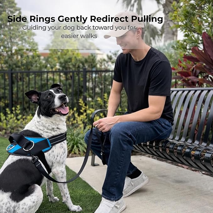 ShawnCo Essential Dog Harness, No-Pull Pet Vest (Arctic Camo,XL) | 3 Leash Clips, Easy On, No-Choke, Reflective, Adjustable Fit, Padded Comfort, Control Handle, For Small, Medium & Large Dogs