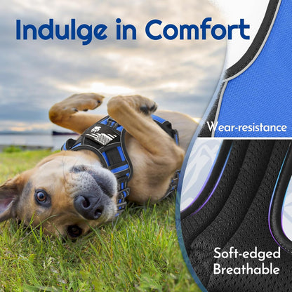 Eagloo Dog Harness for Large Dogs, Easy Wearing with 3 Buckles, Adjustable No Pull Pet Harness with 2 Rings for Walking, No Chock Reflective Soft Padded Vest with Control Handle, Blue & Black, XL