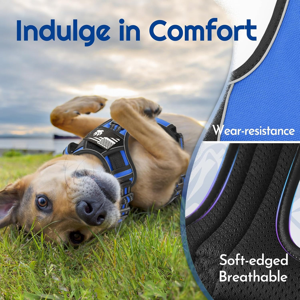 Eagloo Dog Harness Small Sized, Easy Wearing with 3 Buckles, Adjustable No Pull Pet Harness with 2 Rings for Walking, No Chock Reflective Soft Padded Vest with Control Handle, Blue & Black, S