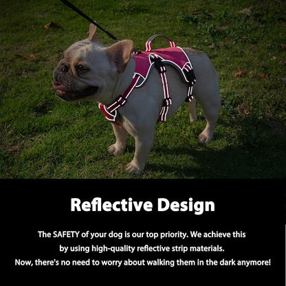 Escape Proof Dog Harness, Dachshund Harness, Reflective Dog Harness with Handle, Durable,Adjustable Vest for Small Medium Large Dogs Walking, Training, and Running Gear (Rose red,S)