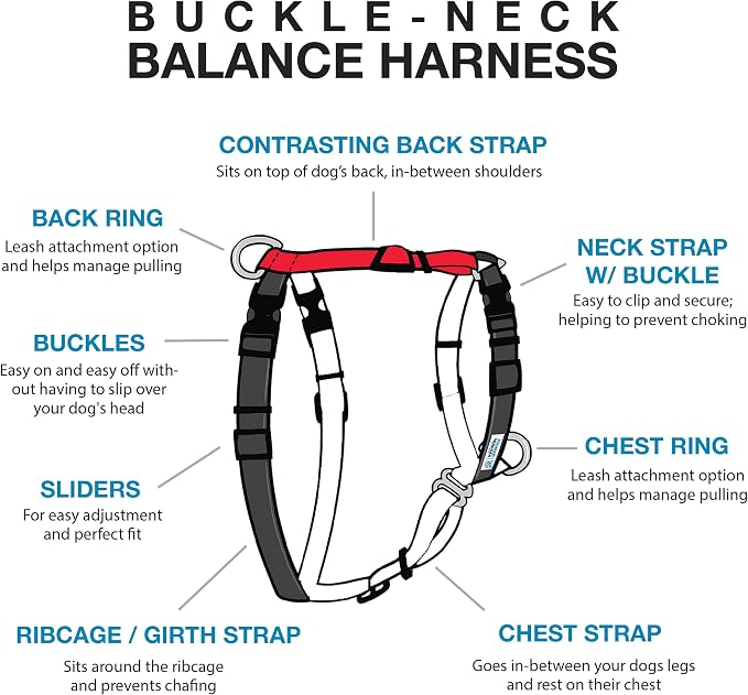 Blue-9 Buckle-Neck Balance Harness, Fully Customizable Fit No-Pull Harness, Ideal for Dog Training and Obedience, Made in The USA, Red, Medium