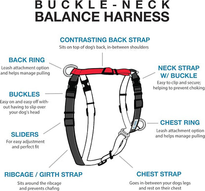Blue-9 Buckle-Neck Balance Harness, Fully Customizable Fit No-Pull Harness, Ideal for Dog Training and Obedience, Made in The USA, Red, Medium