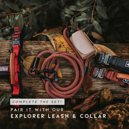 MADE TO ROAM Premium Explorer Harness - Y-Shaped Dog Harness with Adjustable Durable Nylon, Soft Padding, Metal Buckles and Leather Handle for Small, Medium, Large Dogs (Montana Moonrise, Size 7)