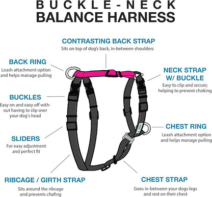 Blue-9 Buckle-Neck Balance Harness, Fully Customizable Fit No-Pull Harness, Ideal for Dog Training and Obedience, Made in The USA, Hot Pink, Small