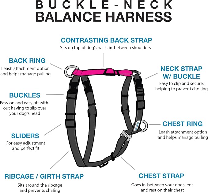 Blue-9 Buckle-Neck Balance Harness, Fully Customizable Fit No-Pull Harness, Ideal for Dog Training and Obedience, Made in The USA, Hot Pink, Medium