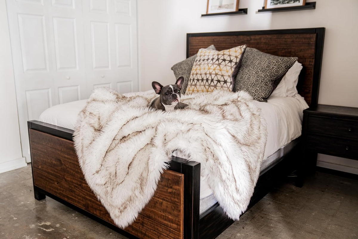 PupProtector Waterproof Throw Blanket for Dogs and Cats. Everyday comfort that fits naturally into your space.