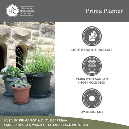 The HC Companies 10 Inch Prima Round Planter Pots with Drainage Holes and Rolled Rim, Lightweight UV-Resistant Plastic Indoor & Outdoor Planters, 2-Pack Flower Pots for Garden & Home Decor, Warm Gray