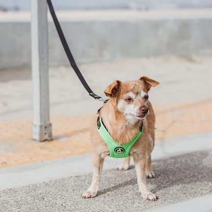 Gooby Escape Free Sport Dog Harness, Choke-Free, Lime, Small | Patented escape-free frame; Reduces choking; 4-point adjustment; Soft neoprene padding; Durable webbed straps