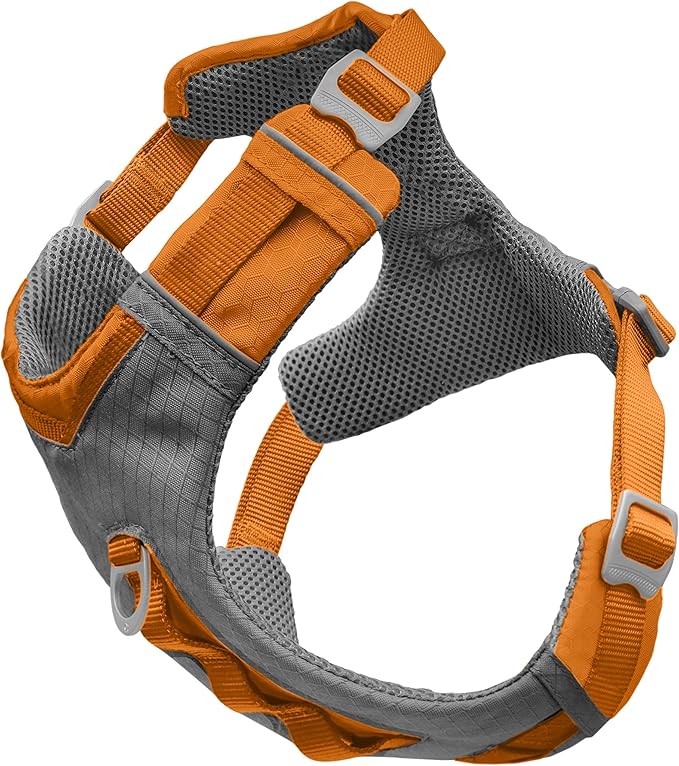 Kurgo Journey Air Dog Harness, Orange, Large | Padded Chest, Ripstop Outer & Breathable Mesh, Back Assist Handle, Rust-Free Aluminum Hardware, Reflective Trim