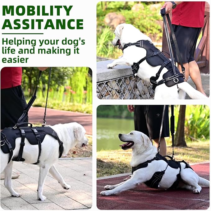 PUPTECK Dog Lift Harness for Medium Large Sized Dog, Rehabilitation Sling for Hind Leg Support, Multifunctional Mobility Assistance Harness for Old, Disabled, Joint Injuries, Paralysis Dogs, Black L
