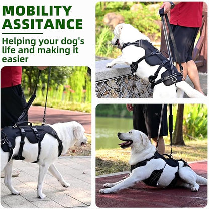 PUPTECK Dog Lift Harness for Medium Large Sized Dog, Rehabilitation Sling for Hind Leg Support, Multifunctional Mobility Assistance Harness for Old, Disabled, Joint Injuries, Paralysis Dogs, Black L