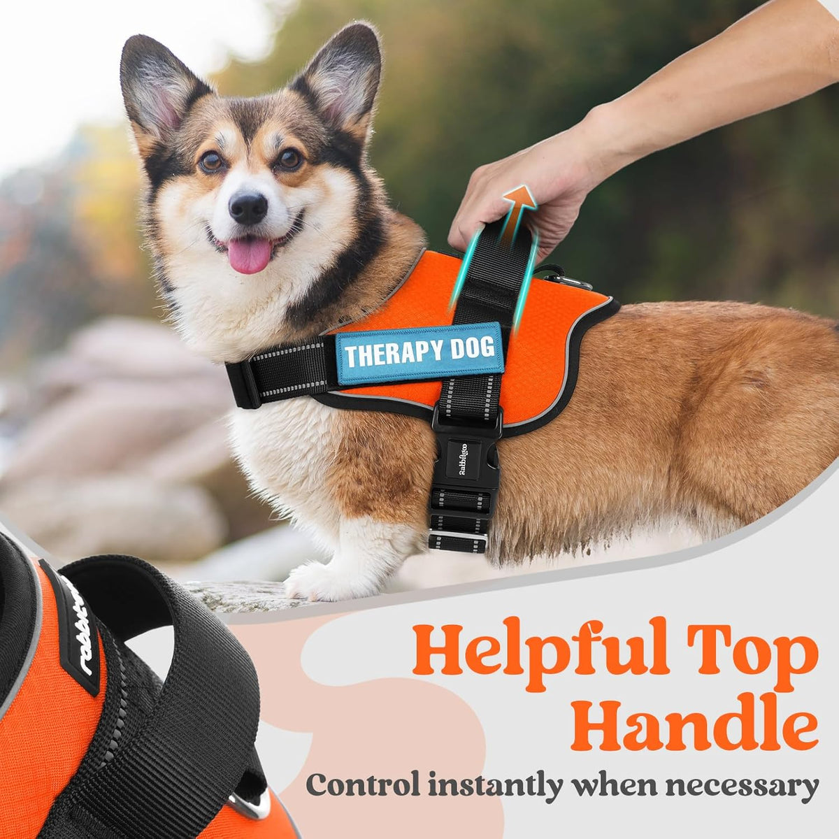 rabbitgoo Dog Harness for Large, Easy On Pet Vest with One Buckle, No Pull Adjustable Service Harness with D-Ring & Handle, Reflective for Safety Walking, Training, Orange, L