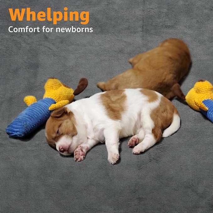 Washable Dog Pee Pads: 34x52 1 Pack Reusable Whelping Pads, Absorb Dog Mats Non-Slip Puppy Training Pads for Whelping, Potty, Training, Playpen, Crate