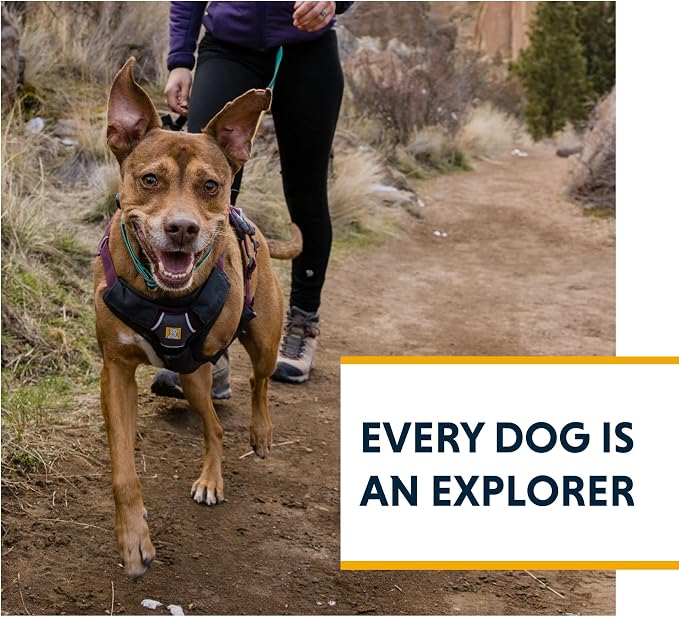 Ruffwear, Web Master, Multi-Use Support Dog Harness, Hiking and Trail Running, Service and Working, Everyday Wear, Purple Rain, XX-Small