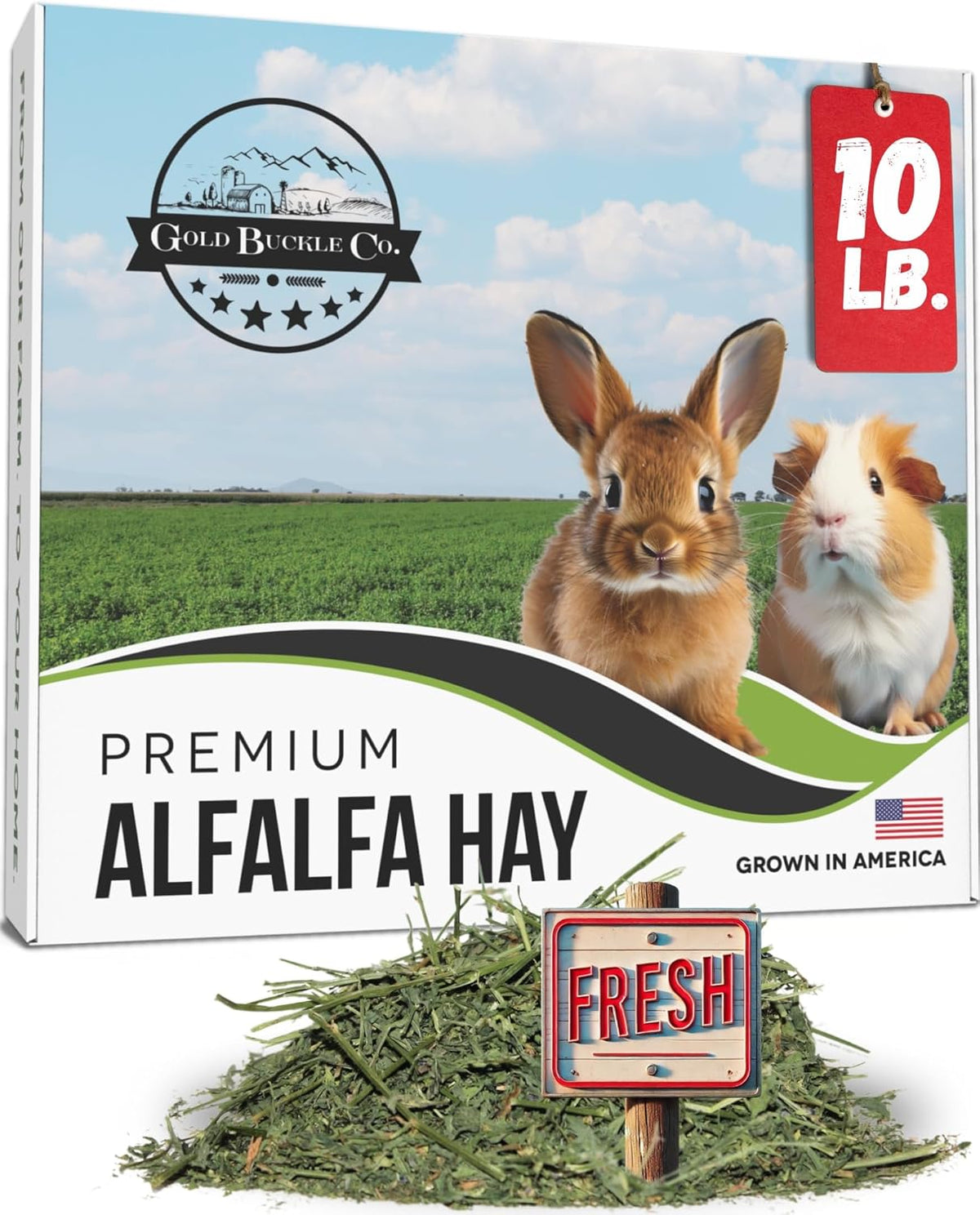 10lb Freshly Dried Organic Alfalfa Hay for Guinea Pigs, Rabbits, Chinchillas, Goats, Hamsters & Ferrets, Small Animal Food Rich in Protein & Fiber, Hand-Selected, Hand sorted, USA Grown
