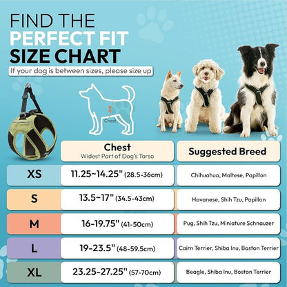 Gooby Escape Free Easy Fit X Step-in Dog Harness, Portland Green, Small | Patented escape-free, tightens on back-out; Choke-free X-frame + V-neck; Quick-release buckle; Reflective trim
