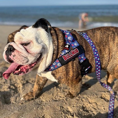 Adjustable Dog Harness– No Pull, No Choke – for English Bulldogs, French Bulldogs, Pugs & Broad-Chested Breeds – Easy, Safe Walks (Blue Burger, Medium)