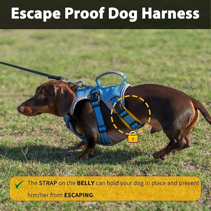 Escape Proof Dog Harness, Dachshund Harness, Reflective Dog Harness with Handle, Durable,Adjustable Vest for Small Medium Large Dogs Walking, Training, and Running Gear (Sea Blue,L)
