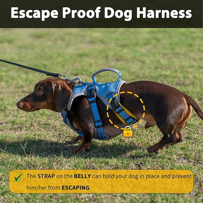 Escape Proof Dog Harness, Dachshund Harness, Reflective Dog Harness with Handle, Durable,Adjustable Vest for Small Medium Large Dogs Walking, Training, and Running Gear (Sea Blue,L)
