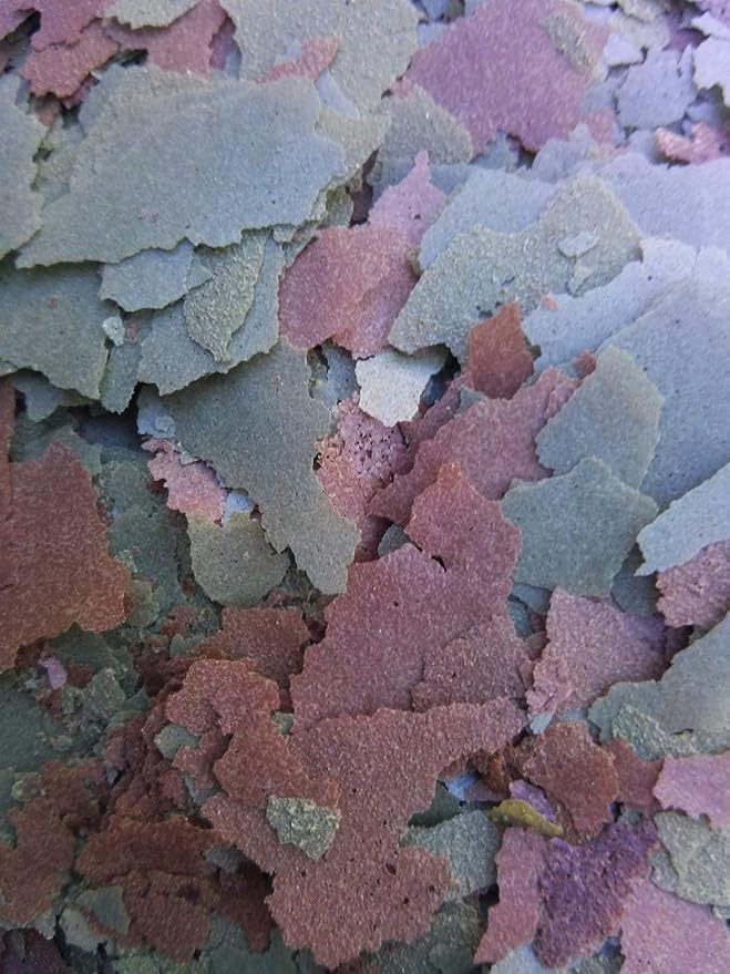 Aquatic Foods Inc. Flakes - 45% California Blackworm & Spirulina Green GRO Flake Mix for Discus, Cichlids, Tetras, Guppies, Live Bearers, Pond Fish, ATropical Fish - Premium AF Flakes - 1/4-lbs