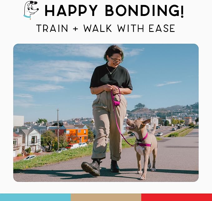 No Pull Dog Harness | Comfortable Training Harnesses | Effective No Pull Harness Design | Ideal for Small Dog and Puppy | 4-Point Adjustable (S - 18~24 inch Girth, Fuchsia)
