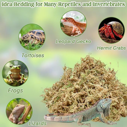 Halatool 1.1LB Sphagnum Moss for Reptiles(Turtles, Geckos, Snakes, Frogs, Hamsters), Natural Forest Long Fibered Dried Moss Bulk for Reptiles Substrate & Bedding - 25QT Reptile Habitat Accessories