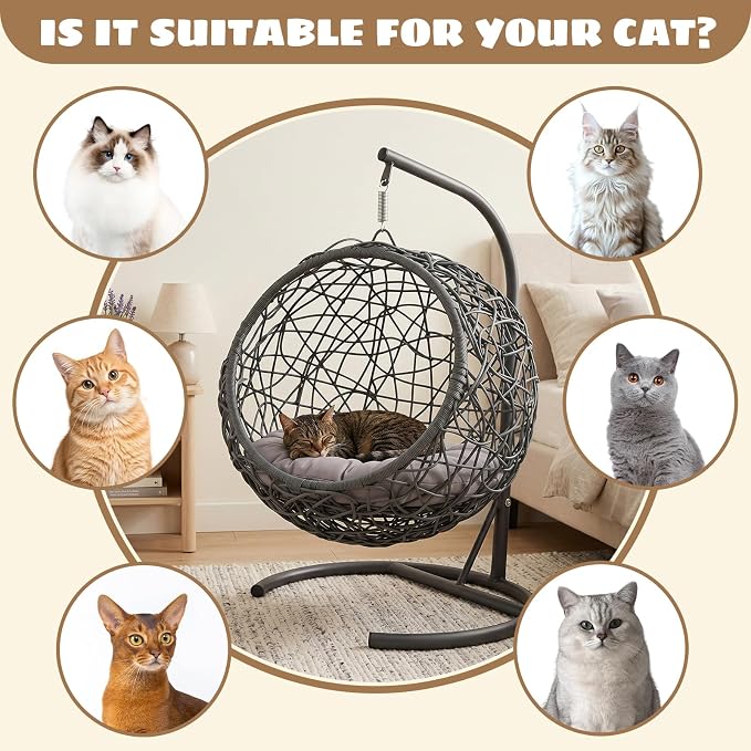 Hanging Cat Swing Bed with Stand & Cushion | Rattan Wicker Egg Chair for Cats, Small Dogs & Pets, Indoor Swinging Bed, Cozy Resting Spot, Modern Design