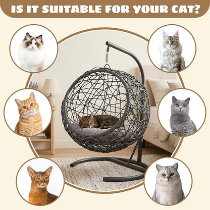 Hanging Cat Swing Bed with Stand & Cushion | Rattan Wicker Egg Chair for Cats, Small Dogs & Pets, Indoor Swinging Bed, Cozy Resting Spot, Modern Design