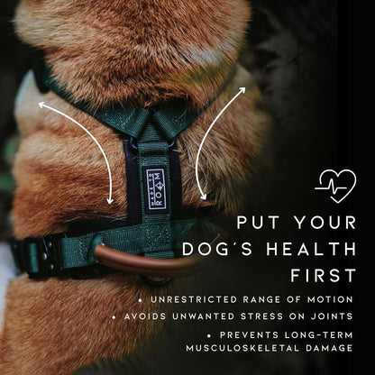 MADE TO ROAM Premium Explorer Harness - Y-Shaped Dog Harness with Adjustable Durable Nylon, Soft Padding, Metal Buckles and Leather Handle for Small, Medium, Large Dogs (Vermont Weekends, Size 5)
