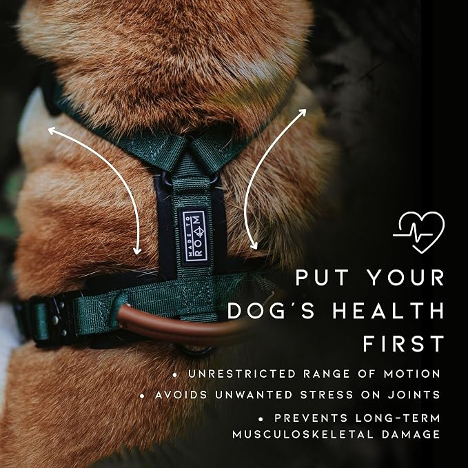 MADE TO ROAM Premium Explorer Harness - Y-Shaped Dog Harness with Adjustable Durable Nylon, Soft Padding, Metal Buckles and Leather Handle for Small, Medium, Large Dogs (Arizona Heartbeat, Size 3)