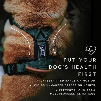 MADE TO ROAM Premium Explorer Harness - Y-Shaped Dog Harness with Adjustable Durable Nylon, Soft Padding, Metal Buckles and Leather Handle for Small, Medium, Large Dogs (Arizona Heartbeat, Size 3)
