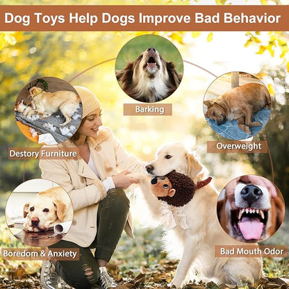 Dog Squeaky Toys for Dogs - Hedgehog Mop Plush Interactive Rope Toy, Durable Chew Toy with Squeaker and Crinkle for Small to Large Dogs, Tug of War Pet Toy for Puppies & Aggressive Chewers