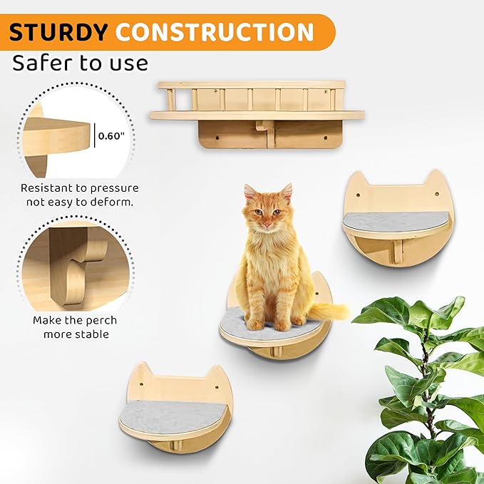 Cat Wall Shelves with 3 Steps – Modern Mounted Cat Wall Furniture & Shelf, Premium Hardwood Cat Bed for Climbing, Sleeping & Lounging, Indoor Hammock for Large Cats