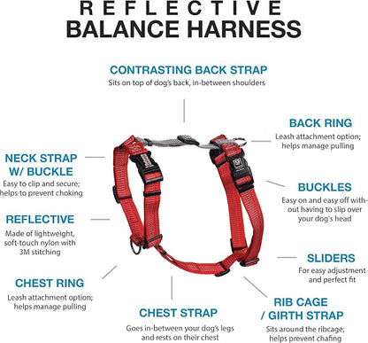 Blue-9 Reflective Buckle-Neck Balance Harness, Fully Customizable Fit No-Pull Harness with 3M Reflective Stitching, Ideal for Dog Training and Obedience, Made in The USA, Red, Small