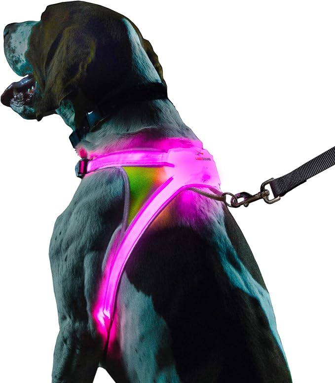 noxgear LightHound Light Up Reflective Dog Harness, Medium | 360° Light Up Reflective Dog Harness, 8 Colors & 6 Modes, USB Rechargeable, Adjustable, Rainproof, LED Fiber Optic