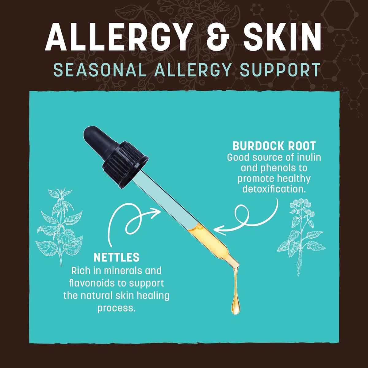 Earth Animal Herbal Remedies | Allergy and Skin | 2 fl oz