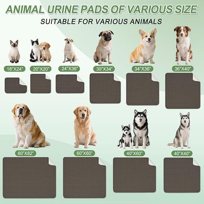 Washable Pee Pads for Dogs Puppy Pad, Coffee 60”x82” 1 Pack | High Absorbent Dog Pee Pad Leak Proof Cat Rugs, Reusable Non Slip Pet Mat, Wee Wee Pads for Training, Crate and Floor