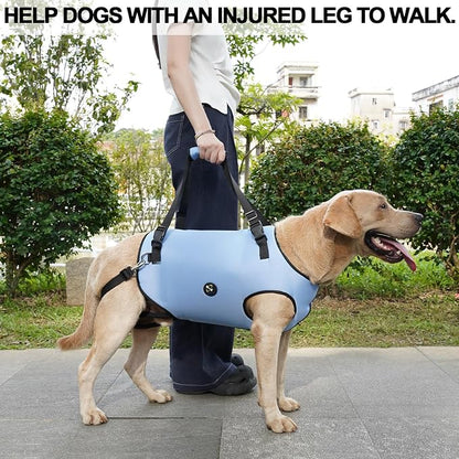 Coodeo Dog Lift Harness, Pet Support & Rehabilitation Sling Lift Adjustable Padded Breathable Straps for Old, Disabled, Joint Injuries, Arthritis, Loss of Stability Dogs Walk (Blue, 2XL)