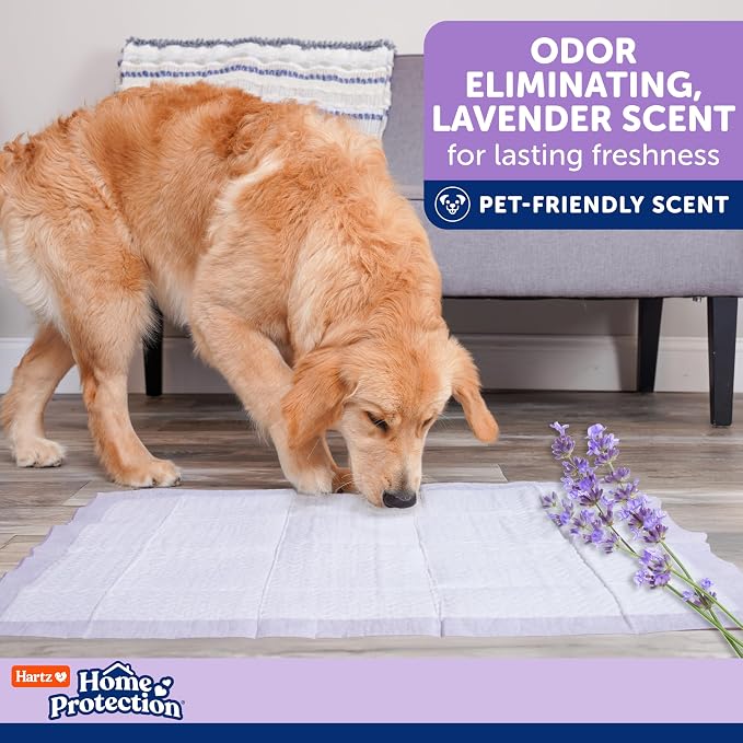 Hartz Home Protection Super Absorbent Odor Eliminating Lavender Scented No Leak Dog Pads, XXL 40 Count (Pack of 2)