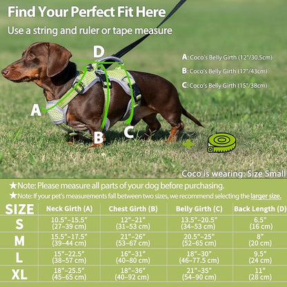 Escape Proof Dog Harness, Dachshund Harness, Reflective Dog Harness with Handle, Durable,Adjustable Vest for Small Medium Large Dogs Walking, Training, and Running Gear (Green,L)