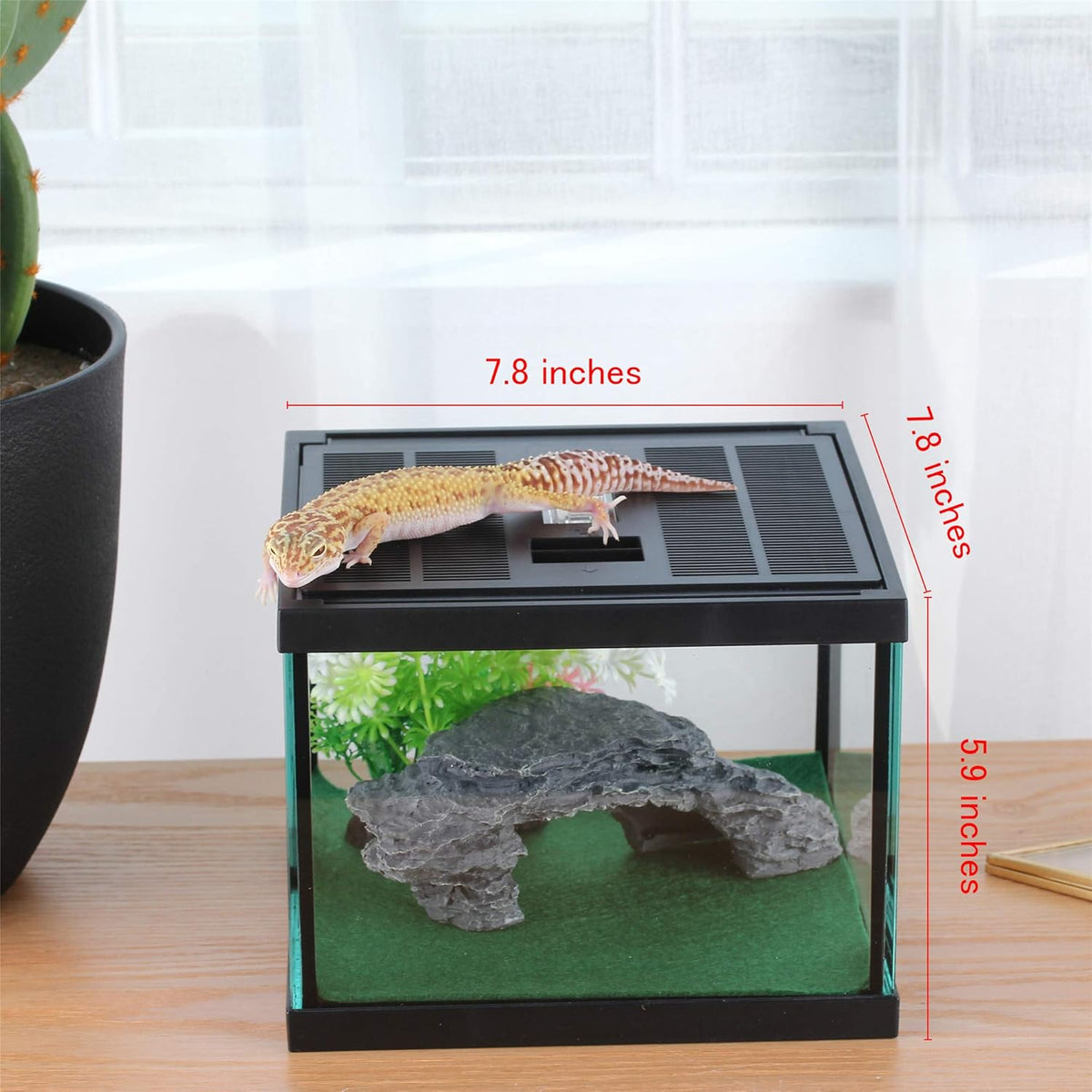 crapelles Glass Lizard Tank, Spider Box Kit, 7.8x7.8x5.9'' Tarantula Feeder Insects Beetle Habitat, Amphibians Terrarium for Small Pet, with Washable Mat, Resin Rock Shape Hideout, Artificial Flower