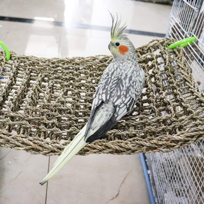 16 x 12 Inches Bird Seagrass Mat, Natural Seagrass Woven Net, Bird Hammock Mat with Hooks, Bird Cage Accessories, Climbing Rope Ladder Chew Toys for Cockatiel Hamster Guinea Pig Rats Hamster Parakeet