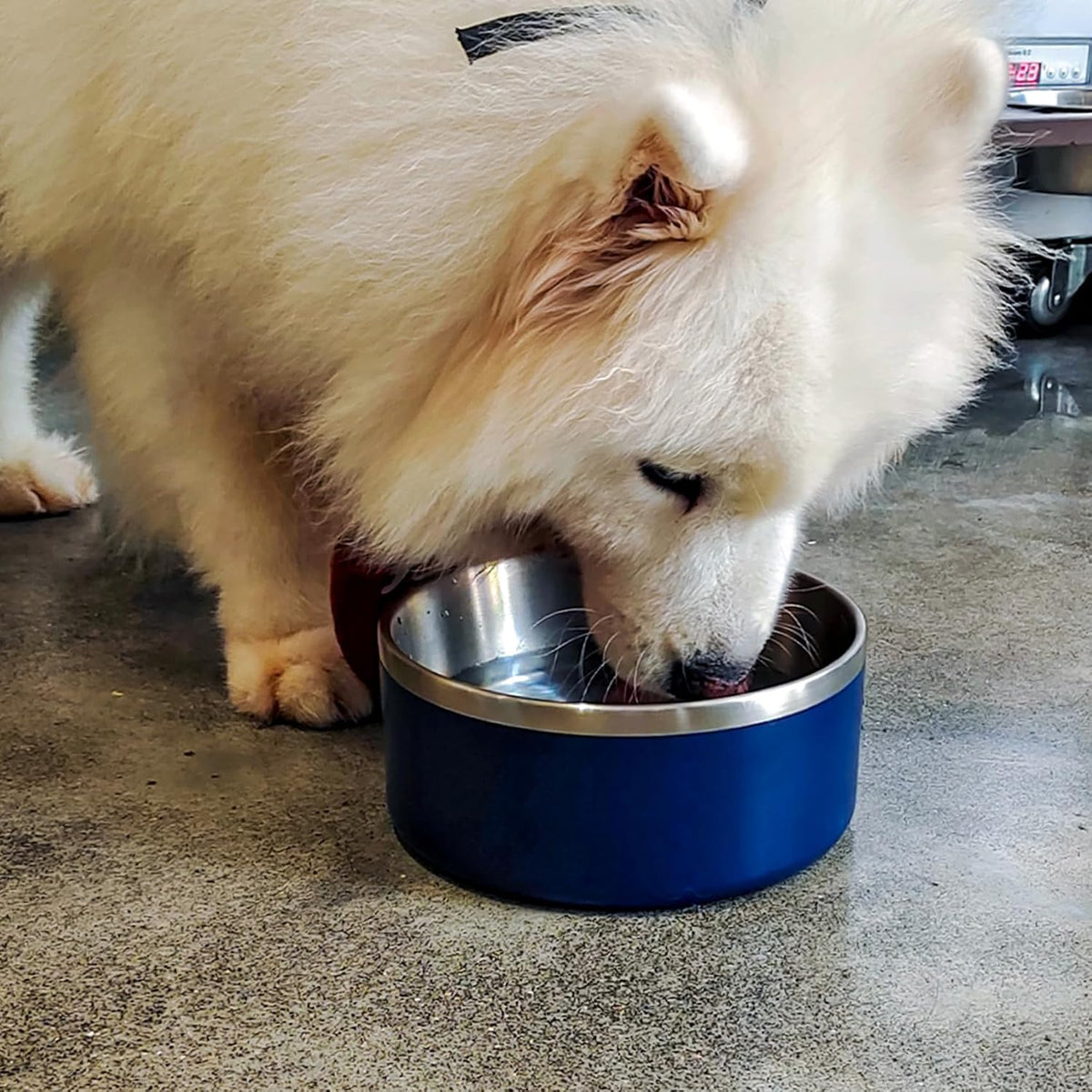 Stainless Steel Dog Bowl, Metal Water and Food Dish for Large Dogs, Insulated Non-Slip Pet Bowl, Easy Clean, 40oz, Blue