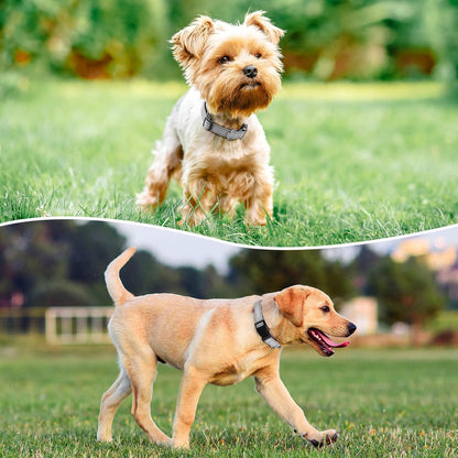 Reflective Dog Collar Padded with Soft Neoprene Breathable Quick Release Basic Dog Collars for Puppy Small Dogs Girl Boy Xs Silver