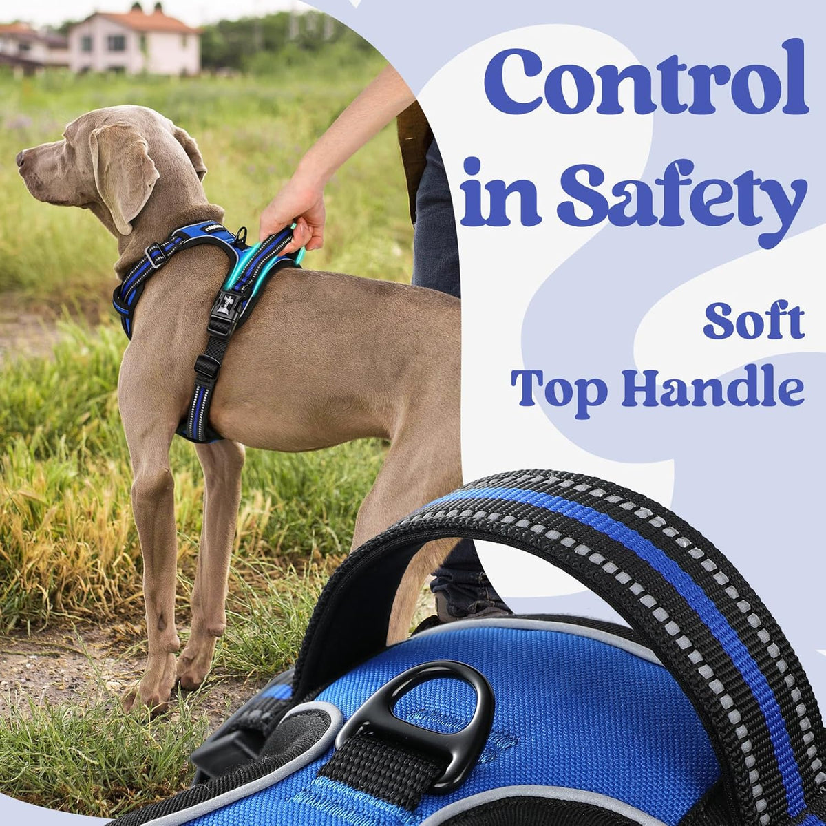 rabbitgoo Dog Harness for Large, No Pull Pet Harness with 3 Buckles, Adjustable Soft Padded Vest with Control Handle, Walking Reflective Pet Vest for Extra Large Dogs, Blue, XL