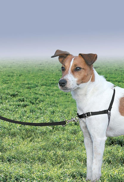 PetSafe Easy Walk Harness, No Pull Dog Harness, Black, Small | Patented Martingale Loop Gives Gradual Shoulder Pressure to Stop Pulling, Front-Chest Leash Clip Prevents Gagging