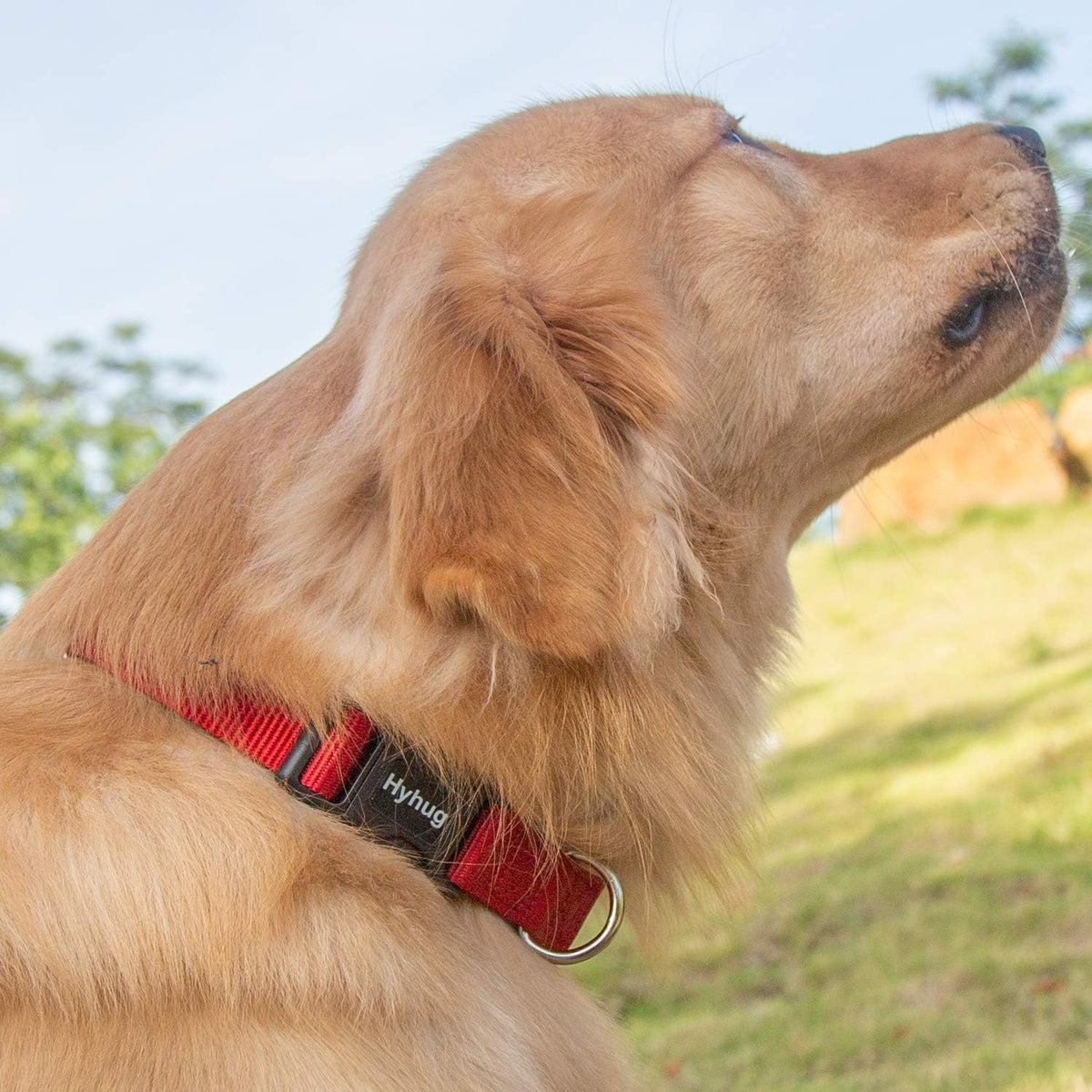 Hyhug Dog Collar with Quick Release Buckle, Nylon Adjustable Durable Cute Pet Collars for Medium Dogs, Boy and Girl(Medium, Red)