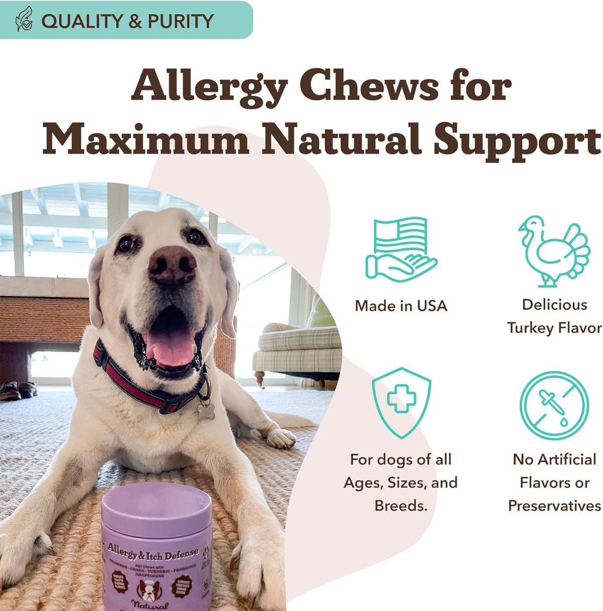 Natural Dog Company Allergy & Itch Defense Chews – Allergy Support for Dogs, Itch Relief, Skin, Coat & Gut Health with Probiotics, Colostrum & Salmon Oil, Grain-Free Dog Supplement, 90 ct